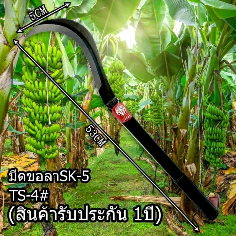 มีดขอลาด้ามแป๊บทำจากเหล็ก SK5ถางหญ้าดายหญ้าชักใบตอง