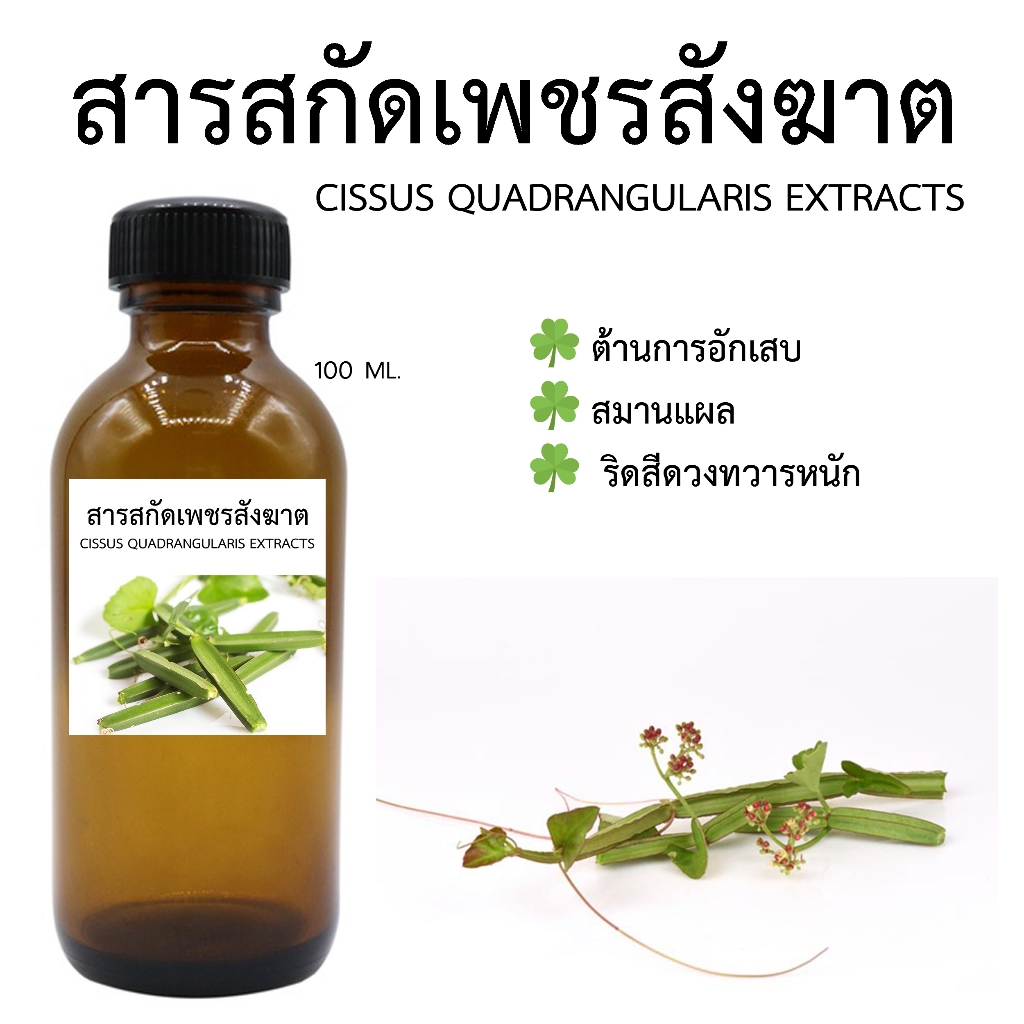 สารสกัดเพชรสังฆาต 100 Ml. l สารสกัดสมุนไพร สำหรับใช้ในเครื่องสำอาง