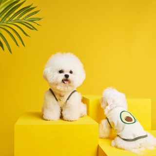 Midnight Layer – All Day Brunch Collection - เสื้อผ้าสัตว์เล…