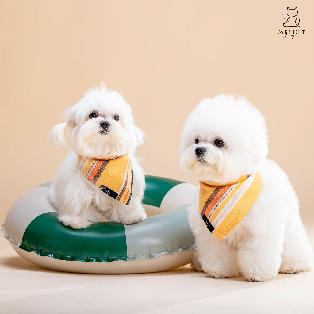 Midnight Layer - Stripy Collection - ผ้าพันคอสัตว์เลี้ยง(Yellow)