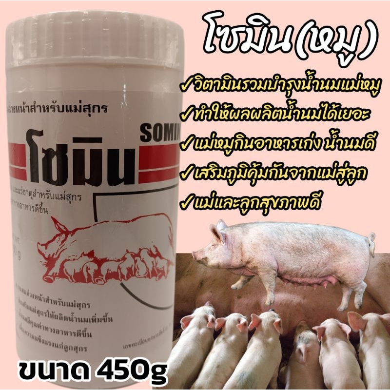 (หมู)โซมิน วิตามินเร่งน้ำนมแม่สุกร วิตามินบำรุงน้ำนมแม่หมู ขนาด450กรัม ประสานน้ำนมหมู