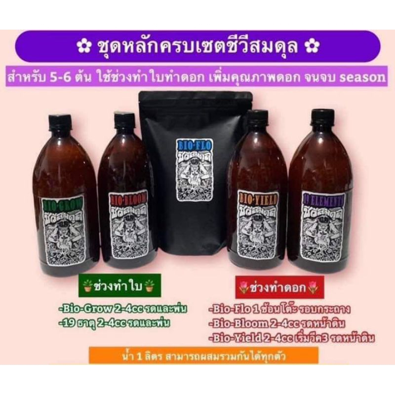 ชุดหลักครบเซทเพิ่มคุณภาพใบและดอกจนจบSeason