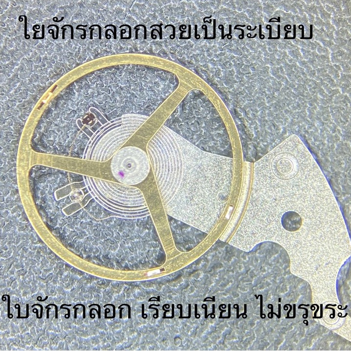 Musthave จักรกลอก ETA 2836-2/ 2834-2