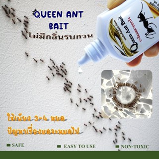Queen ant bait เหยื่อกำจัดมด เหยื่อมด กำจัดมด ตายยกรัง ยามด …