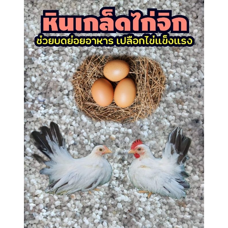 หินเกล็ดไก่จิกเพิ่มแคลเซี่ยม ขนาด 1 กก.