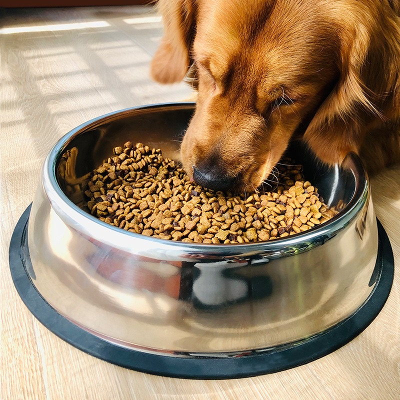 ชามอาหารสแตนเลส ชามอาหารสัตว์เลี้ยง สุนัข หมา แมว ถ้วยอาหารหมา Dog Bowl