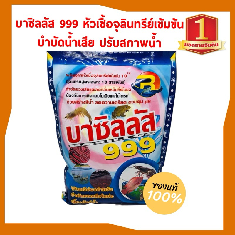 รูปภาพ 2