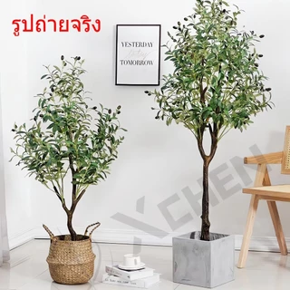 【สั่งแล้วฟรีกระถางดอกไม้ 】ต้นโอลีฟ ต้นมะกอกปลอม ของตกแต่งในร่ม ลำต้นสีน้ำตาลเหมือนของจริง ต้นไม้ปลอมใหญ่