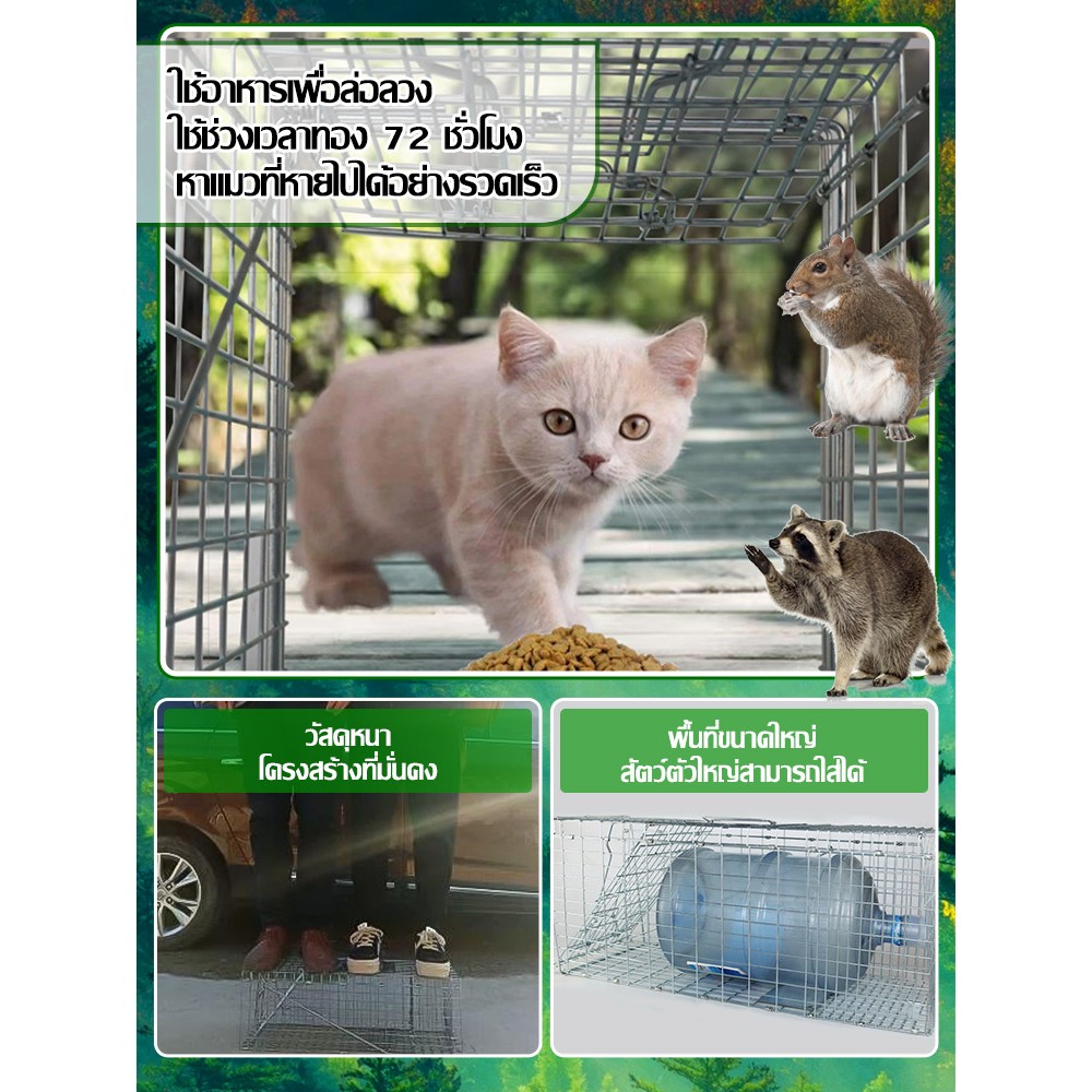 ส่งของในไทย กรงดักแมว กรงดักแมว  ส เหล็กเส้น จับแมวจรจัด ดักจับแมวจร CatTrap กับดักแมว