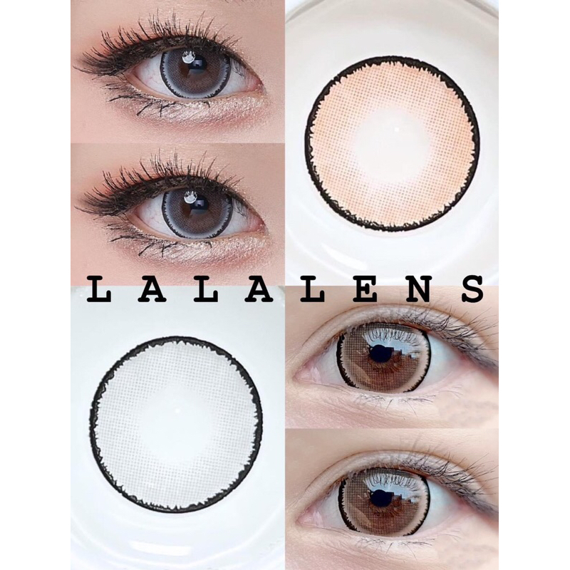 **ส่งของทุกวัน** บิ๊กอายราคาถูก ใส่แล้วตาโตตาหวาน คอนแทคเลนส์ money gray money brown