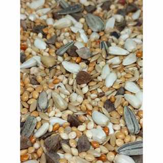 ถูกกว่า จ่ายแพงกว่าทำไม? 13 อย่าง เกรดB อาหารนก เมล็ดธัญพืชน…