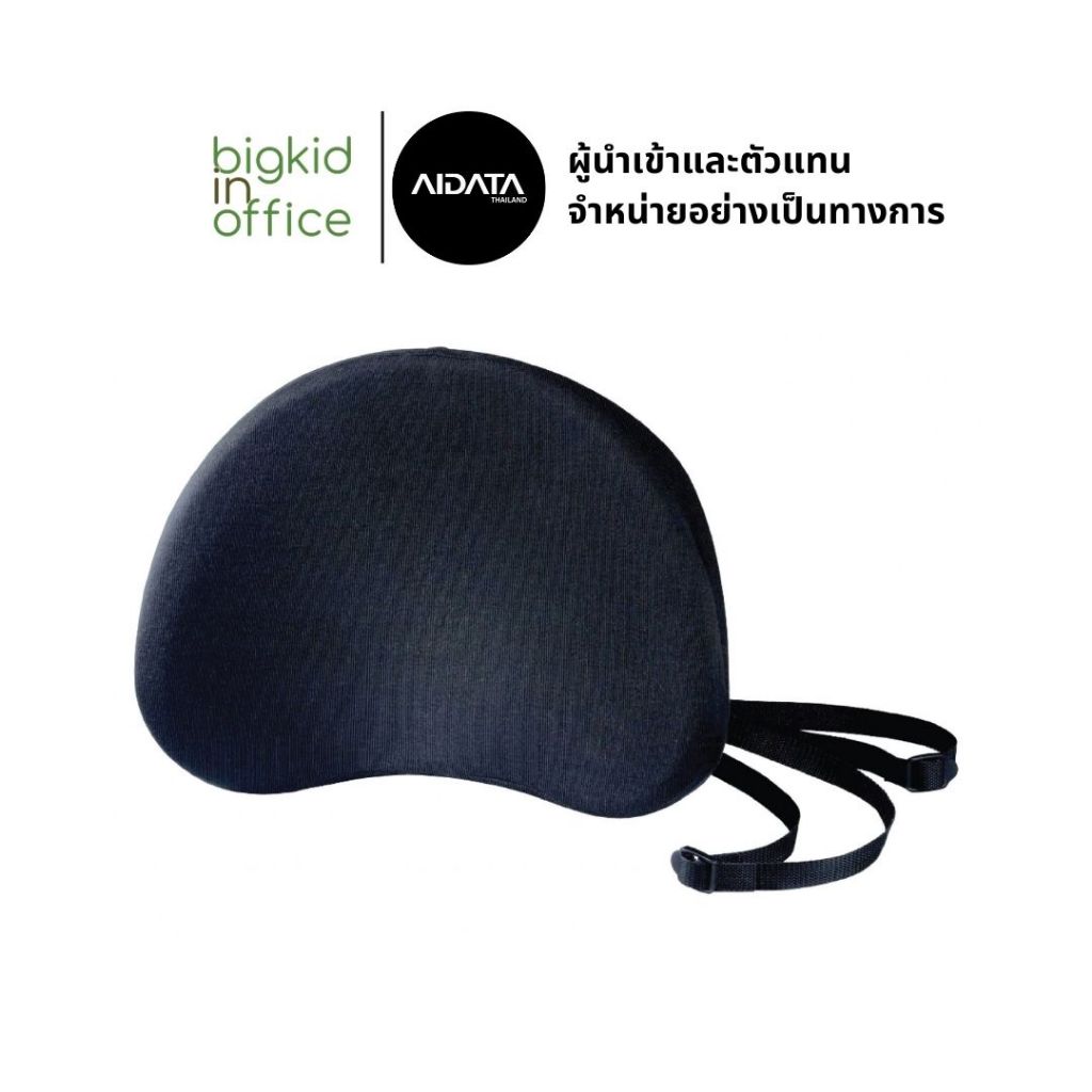 AIDATA เบาะรองหลัง แผ่นรองหลัง เบาะกันปวดหลัง เบาะเพื่อสุขภาพ BS001