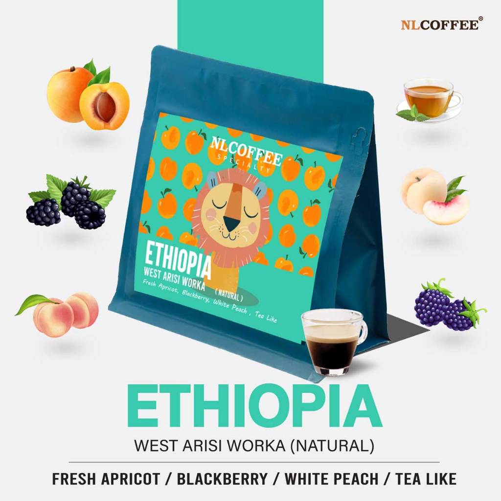 NLCOFFEE SPECIALTY เมล็ดกาแฟ Ethiopia West Arisi Worka (Natural)