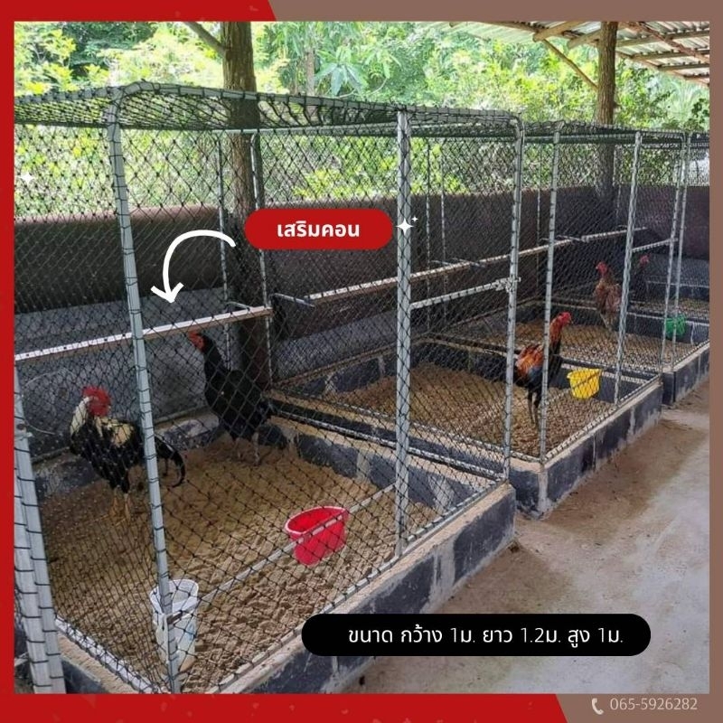 กรงชำ กรงผสมไก่ชน ตาข่ายเบอร์24 เลี้ยงสัตว์ มีคอน กรงเหล็กอเนกประสงค์ ถอดประกอบได้