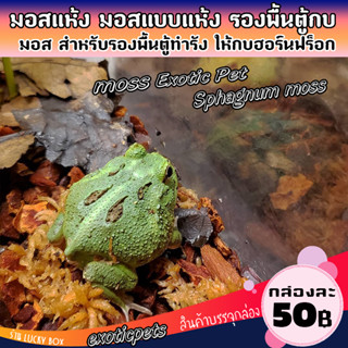 มอสแห้ง สแฟ็กนั่มมอส สำหรับรองพื้นตู้เลี้ยงกบ กล่องละ 50 บาท…