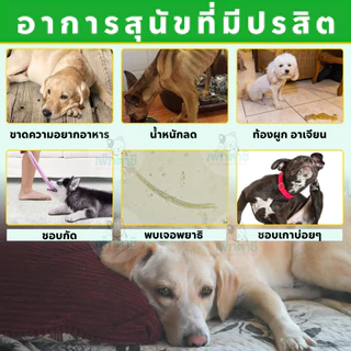 Oimmal Flea & Tick กำจัด เห็บ หมัด เหา พยาธิ พยาธิตัวตืด พยาธิแส้ม้า ไข่แมลงวัน รวมถึงปรสิตอื่นๆ