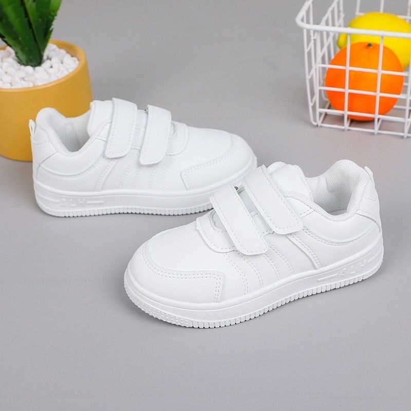 รูปภาพ 8