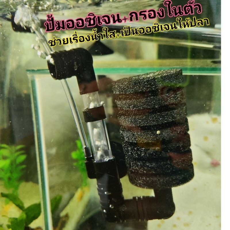 ปั้มออซิเจน+กรอง1หัวในตัว ใช้ดีมาก💦🐟