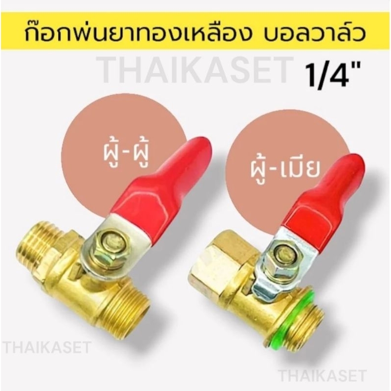 ก๊อกพ่นยา (ผู้-เมีย) , (ผ-ผ)