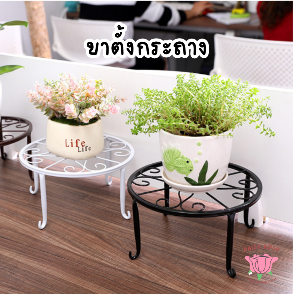 พร้อมส่ง ขาตั้งกระถางต้นไม้ หรูหรา ชั้นวางต้นไม้ กระบองเพชร วัสดุเหล็ก