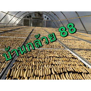 กล้วยตาก สติ๊ก 🅰️ 🅰️ ราคาส่งยกถุง 3 กิโลกรัม เส้นสวยตรงปก กล้วยนิ่ม หวานน้อย อร่อย สูตรเฉพาะของร้านเราเองค่ะ👍