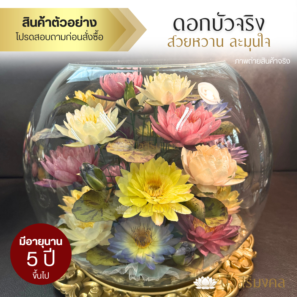 (แบบ 24 ดอก ทรงกลมใหญ่) 🪷 ดอกบัวสดในโหลแก้ว มีอายุนาน 5 ปี ขึ้นไป - สีสวยสดงดงาม ใช้แทน โคมไฟดอกบัว และ ดอกบัวประดิษฐ์