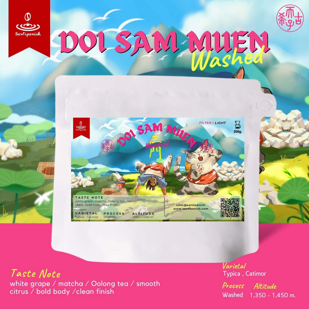 เมล็ดกาแฟคั่วอ่อน ฟิลเตอร์ Doi Sammuen Washed