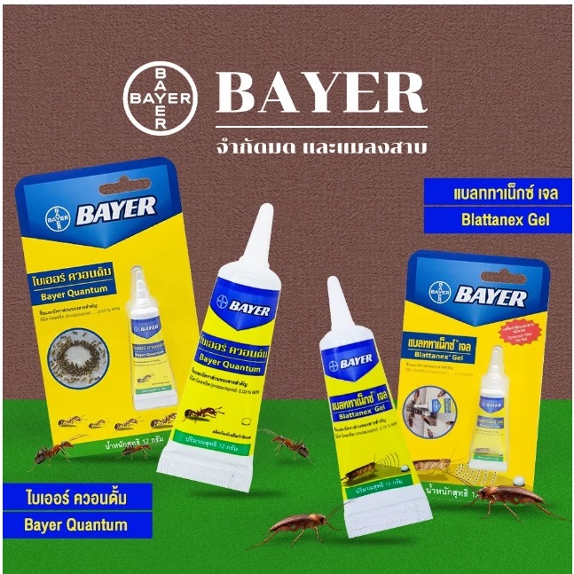 Bayer Quantum ไบเออร์ ควอนตั้ม ขนาด 12 กรัม เจลกำจัดมด เจลกำจัดแมลงสาบ เจลกำจัดแมลง เหยื่อกำจัดมดและแมลงสาบ กาวน์ดักแมลง