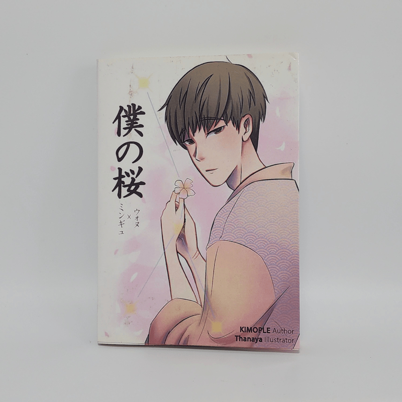 Seventeen Fiction - Kimople