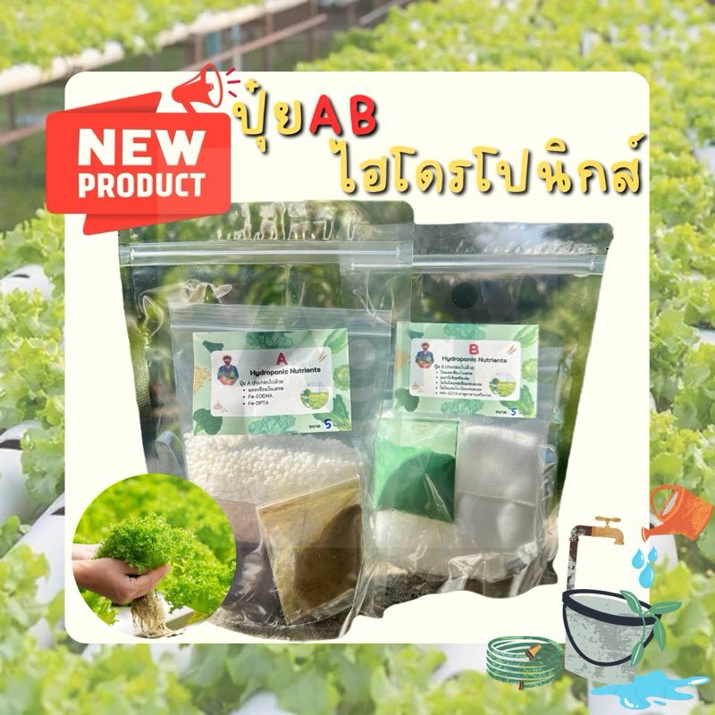 ปุ๋ยAB ปุ๋ยไฮโดรโปนิกส์เข้มข้น 5-20 ลิตร แม่ปุ๋ยAB #ราคาถูก #ปุ๋ยAB #แม่ปุ๋ยAB