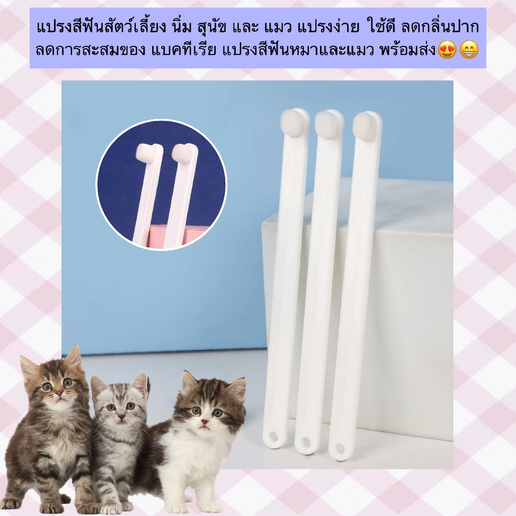 PP-1106 แปรงสีฟันสำหรับสัตว์เลี้ยง แปรงนุ่ม อ่อนโยน ใช้ง่าย ช่วยดูแลสุขภาพช่องปากของน้องหมาน้องแมวได้อย่างมีประสิทธิภาพ