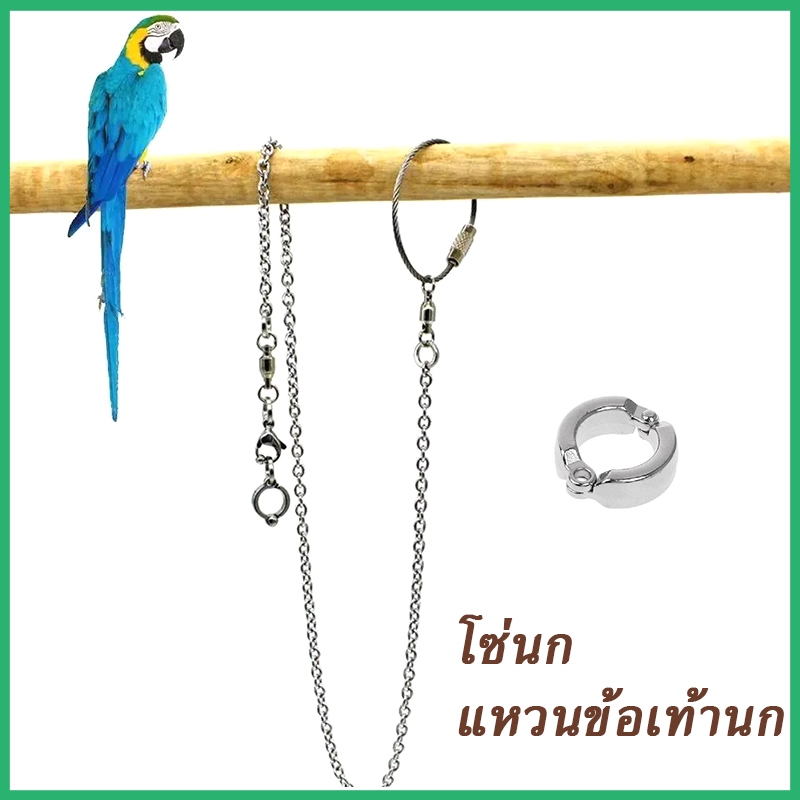 แหวนข้อเท้านก  โซ่นกแก้ว80มม. สายรัดนก เชือกสําหรับนกออก สร้อยคอระงับเที่ยวบินสัตว์เลี้ยงสแตนเลส
