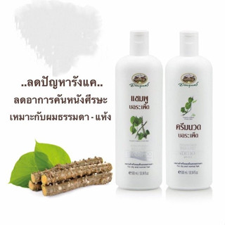 &แชมพู และครีมนวดผม บอระเพ็ด อภัยภูเบศร 300 มิลลิลิตร