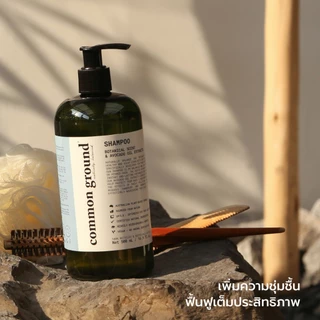 [แพคคู่] Common Ground Volumizing Shampoo & Conditioner แชมพู ครีมนวด Avocado Oil Extracts (500mlx2)
