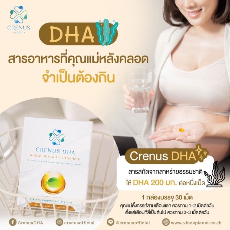 DHA สำหรับคุณแม่ตั้งครรภ์ เสริมพัฒนาการประสาทและสมองของลูก ลดความเสี่ยงคลอดก่อนกำหนด