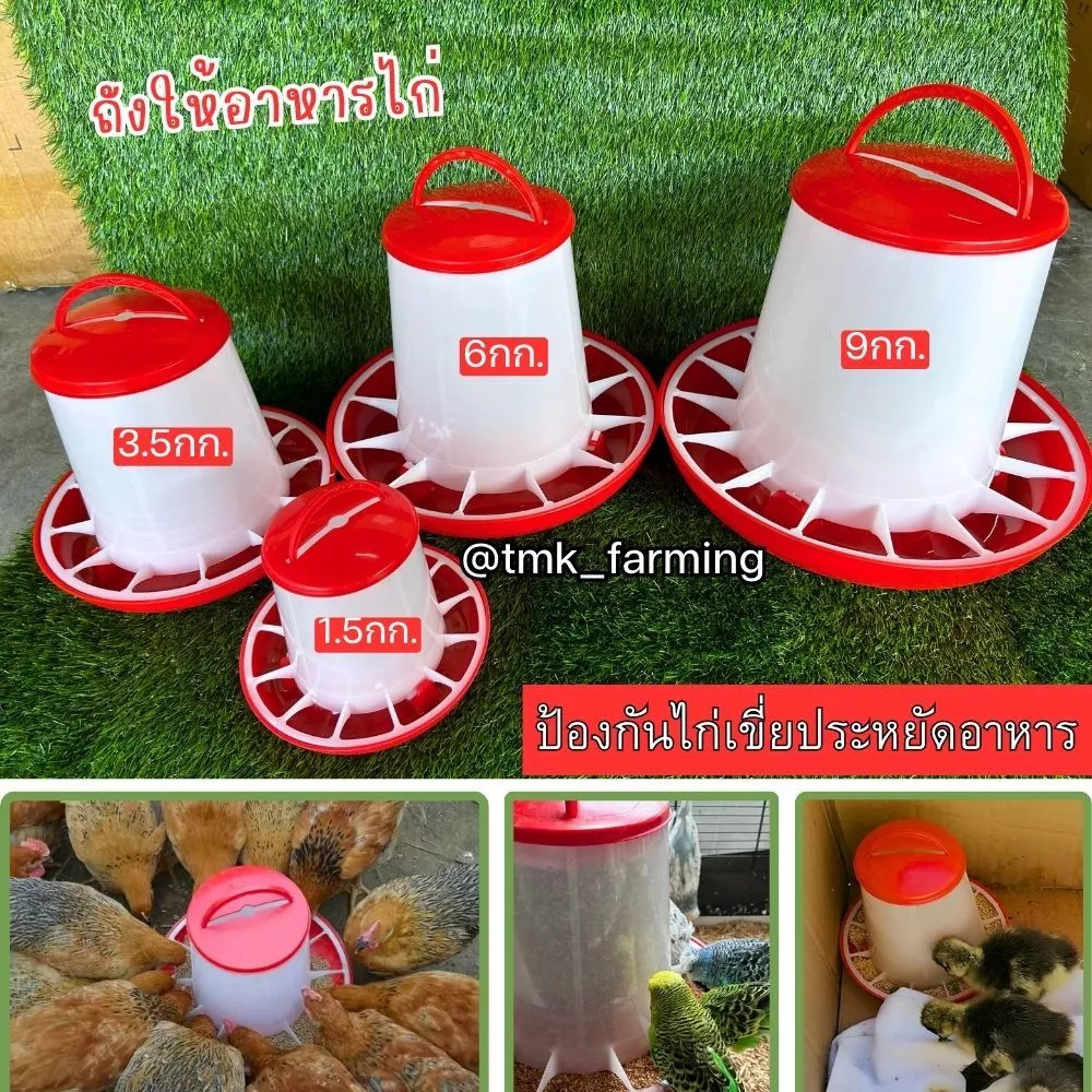 ถังอาหารไก่ ที่ให้อาหารไก่ ถ้วยให้อาหารไก่ ป้องกันไก่เขี่ย