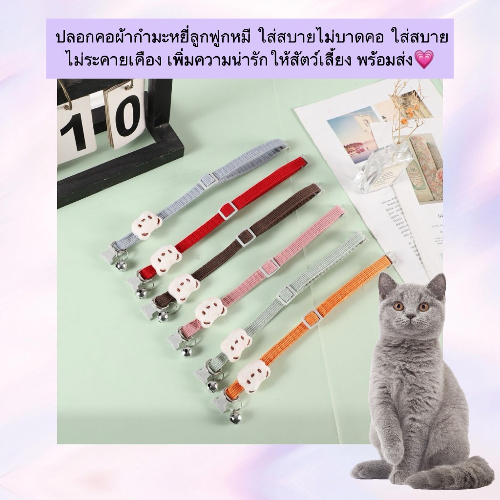MG-1102 ปลอกคอกำมะหยี่ลูกฟูกลายน้องหมีสุดน่ารัก 🐻 สวมใส่สบาย ไม่บาดคอสัตว์เลี้ยง พร้อมส่ง!