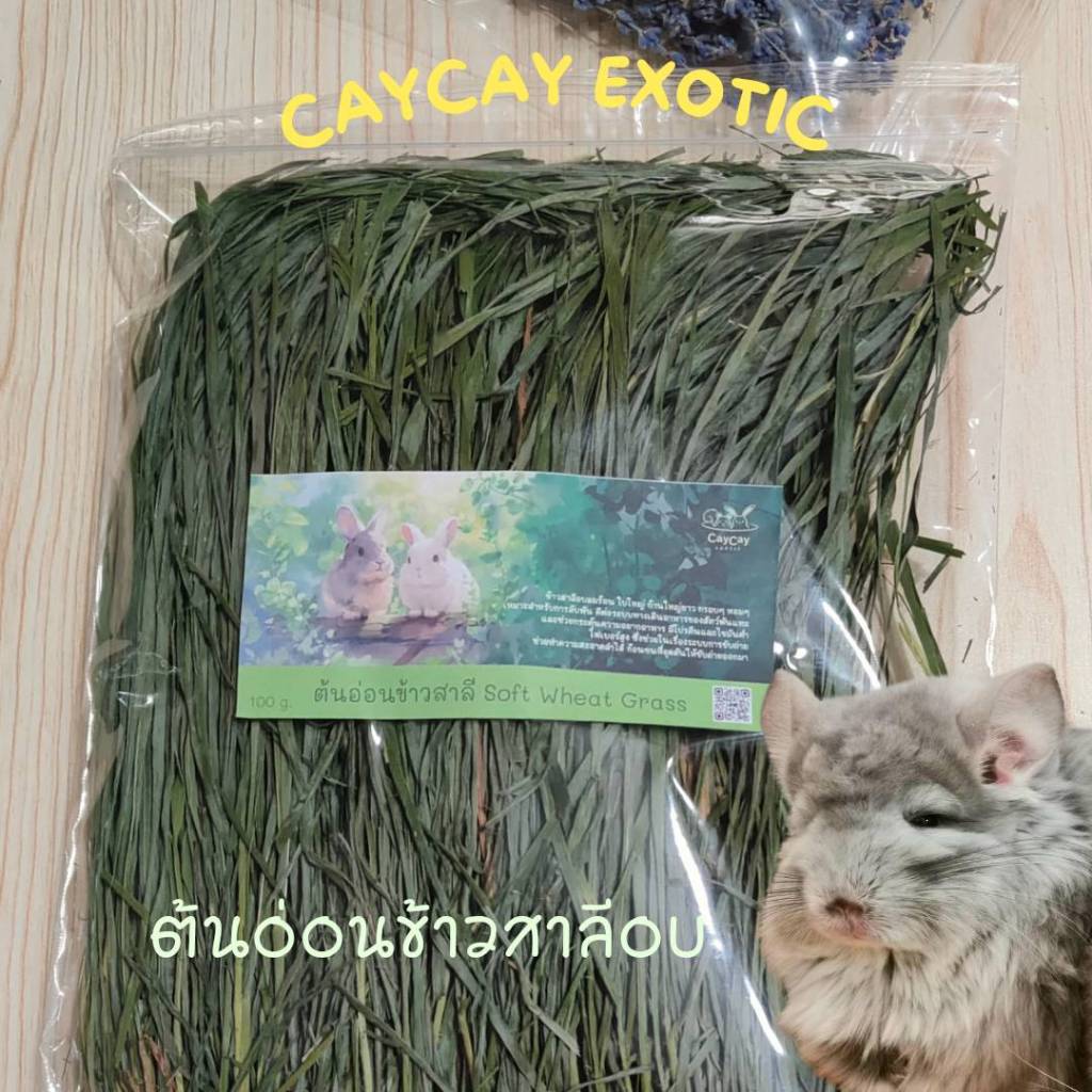 CayCay Soft Wheat  ต้นอ่อนข้าวสาลีอบลมร้อน
