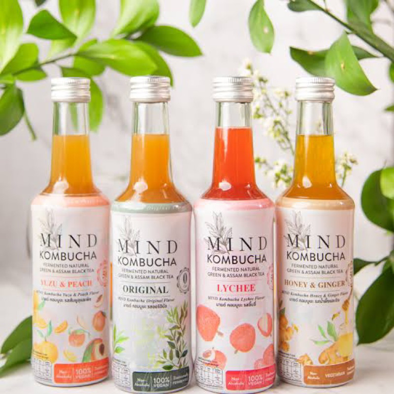 Mind kombucha 4รสชาติ คอมบูชะ ชาหมัก เพื่อสุขภาพ 250 มล. ขวดแก้ว fl