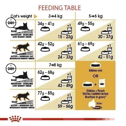 [Cheaper] Royal Canin British Shorthair Kitten 2kg อาหารแมว โรยัลคานิน ลูกแมว บริติช ชอร์ตแฮร์ - รูปที่ 3