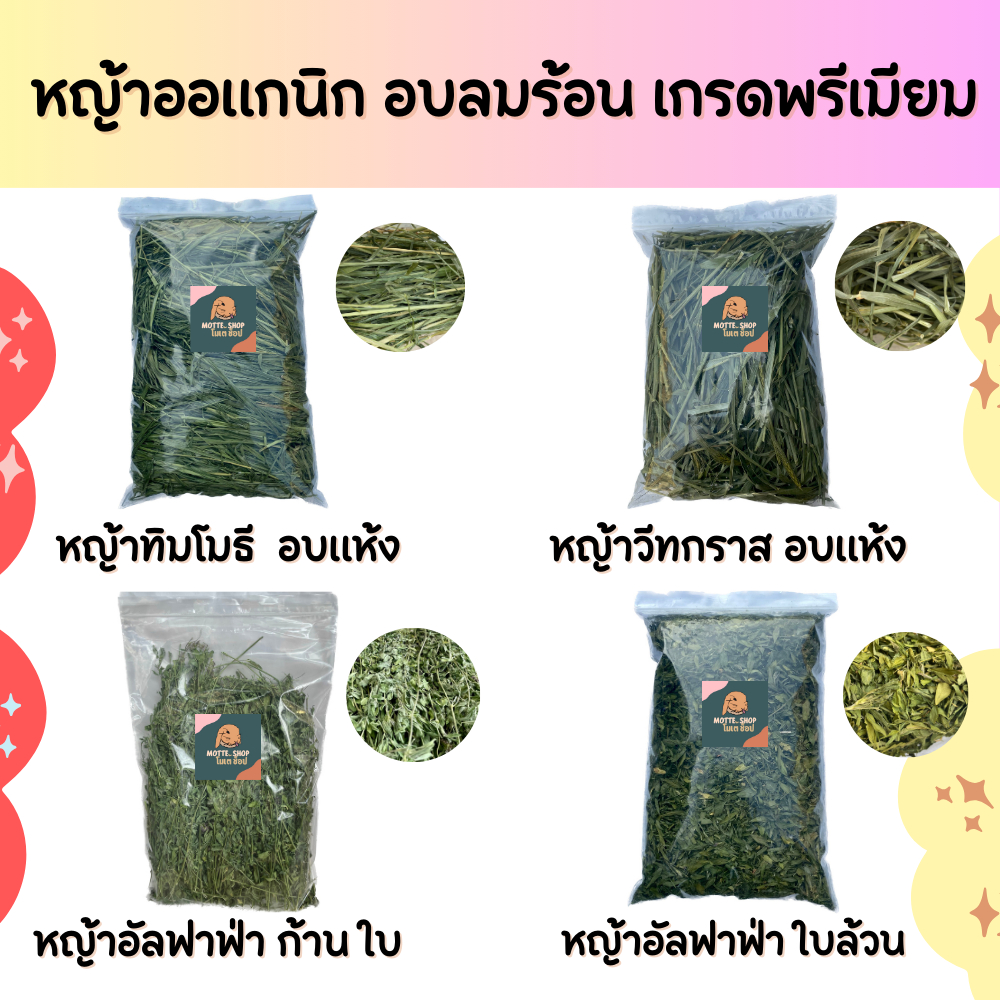หญ้าทิมโมธี หญ้าวีทกราส หญ้าอัลฟาฟ่าใบล้วน หญ้าอัลฟาฟ่า ก้านใบออแกนิก อบลมร้อน เกรดพรีเมียม
