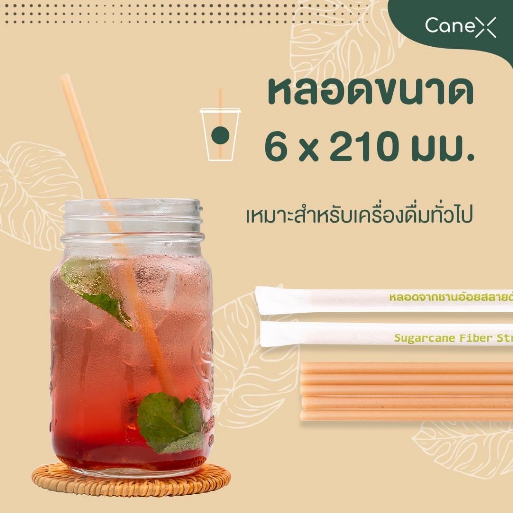 หลอดจากชานอ้อย Cane X ขนาด 6x210mm ตัดตรง (มีซองกระดาษ) ขนาด 1 Pack จำนวนบรรจุ 100 หลอด