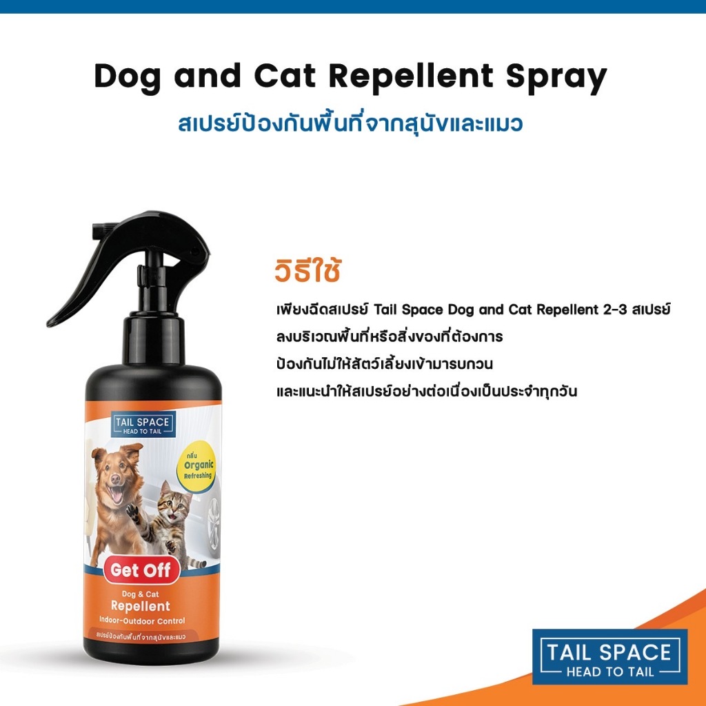 รูปภาพ 9