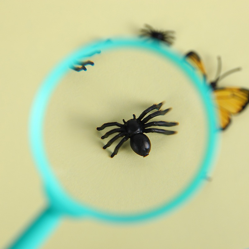 Magnifying glass for kids แว่นขยายเพื่อการเรียนรู้สำหรับเด็กแนวmontessori แว่นขยายพกพา sensory play ราคา ถูกที่สุด ดีลบีเคเค แกลเลอรีภาพที่ 2