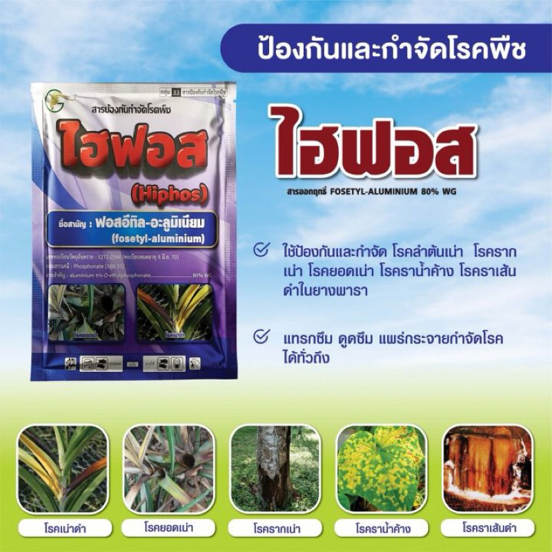 ไฮฟอส 1กก ฟอสอิสทิล ป้องกันกำจัด รากเน่า โคนเน่า ราน้ำค้าง