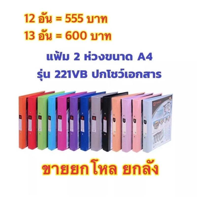แฟ้ม 2 ห่วง ตราช้าง แฟ้ม No.221vb ยกโหล ยกลัง แฟ้มโชว์เอกสาร 221vb แฟ้ม 2 ห่วงตราช้าง โชว์ปกหน้า แฟ้