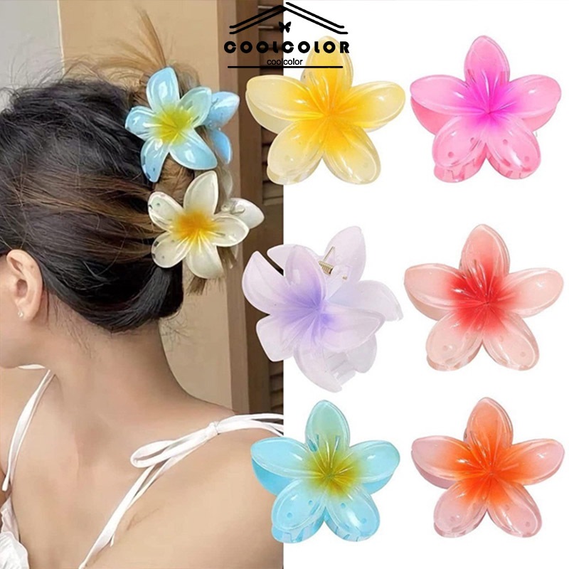 ในไทย กิ๊บติดผมลายดอกไม้ไล่โทนสีสีสันสดใสสไตล์ฮาวายแฟชั่นสําหรับผู้หญิง2024