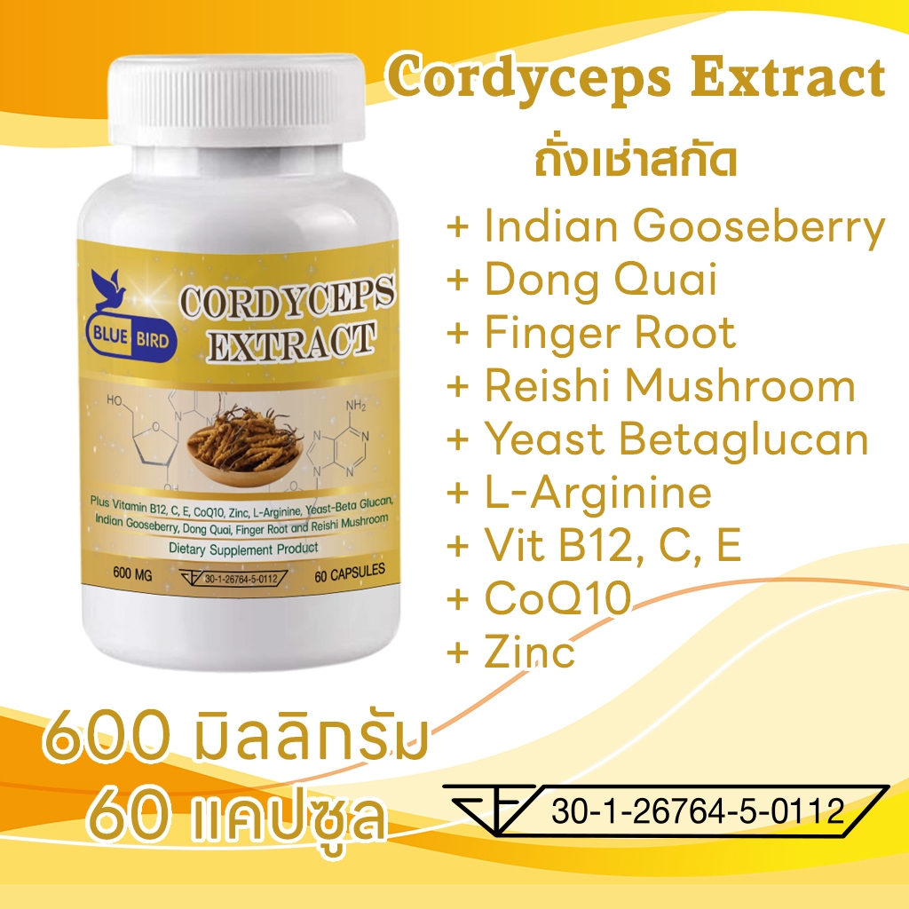 ถั่งเช่าสกัด Cordyceps Extract ตรา บลูเบิร์ด ขนาด 600 มิลลิกรัม 60 แคปซูล