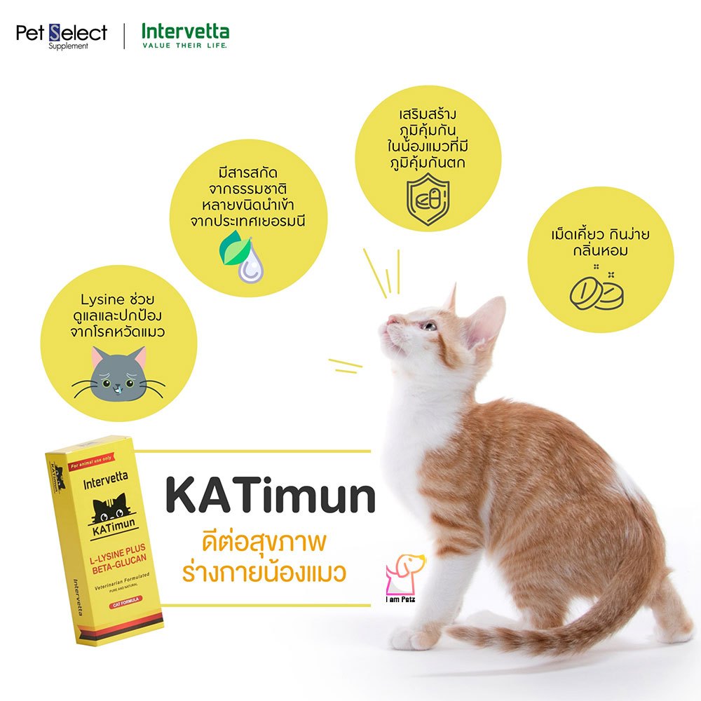 KATimun แคทติมูน L-Lysine Plus Beta-glucan [30เม็ด] วิตามินสำหรับแมว ช่วยเสริมสร้างภูมิคุ้มกันในน้องแมว