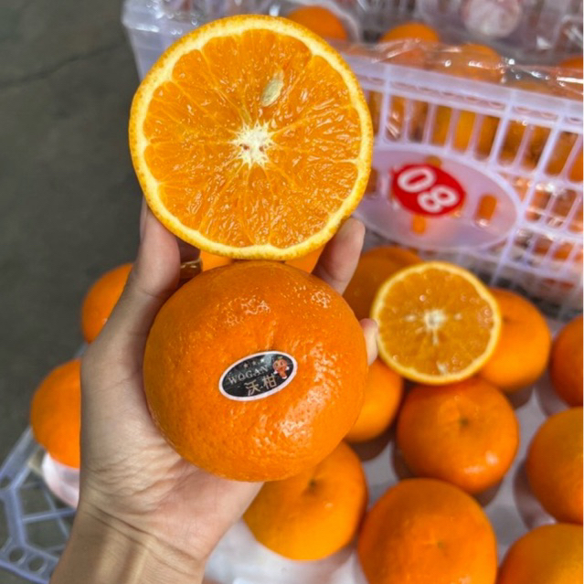 รูปภาพ 4